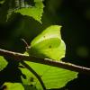 313769 – Photo : Florian ALONSO – France (21)
